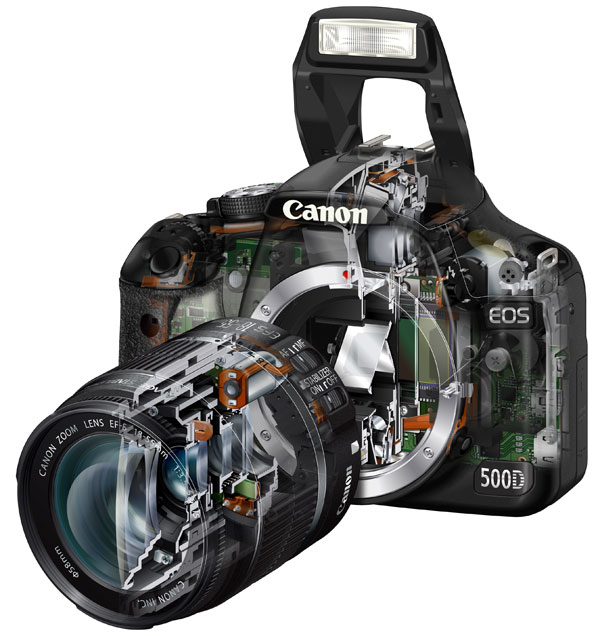 Camera cutaway image